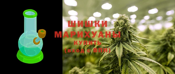 PSILOCYBIN Бородино