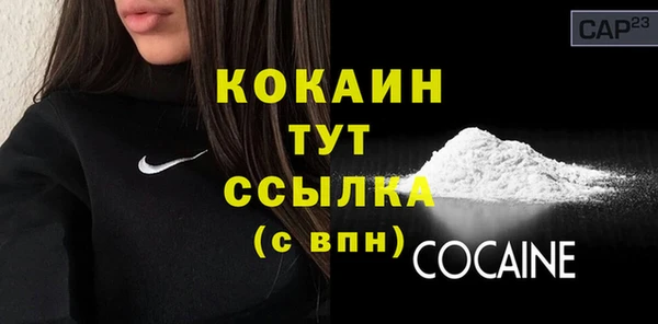 PSILOCYBIN Бородино