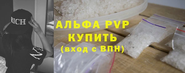 PSILOCYBIN Бородино