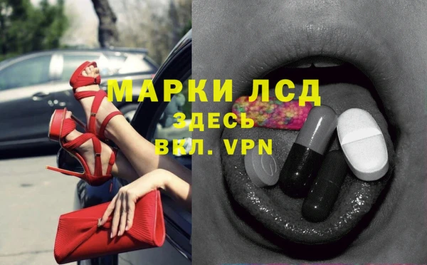 гашик Россошь