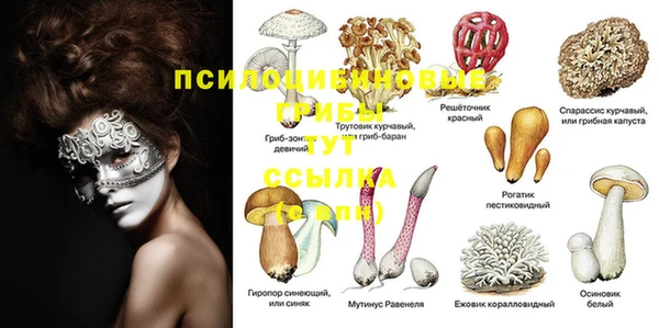 дурь Бугульма