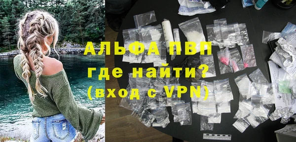 PSILOCYBIN Бородино